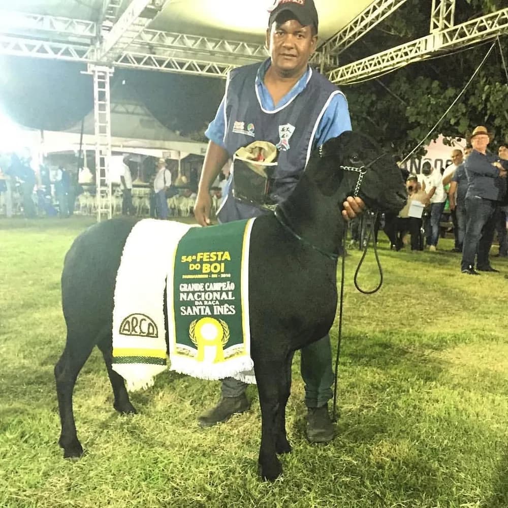 Do Pina IA 1659 — Grande Campeão, 2016