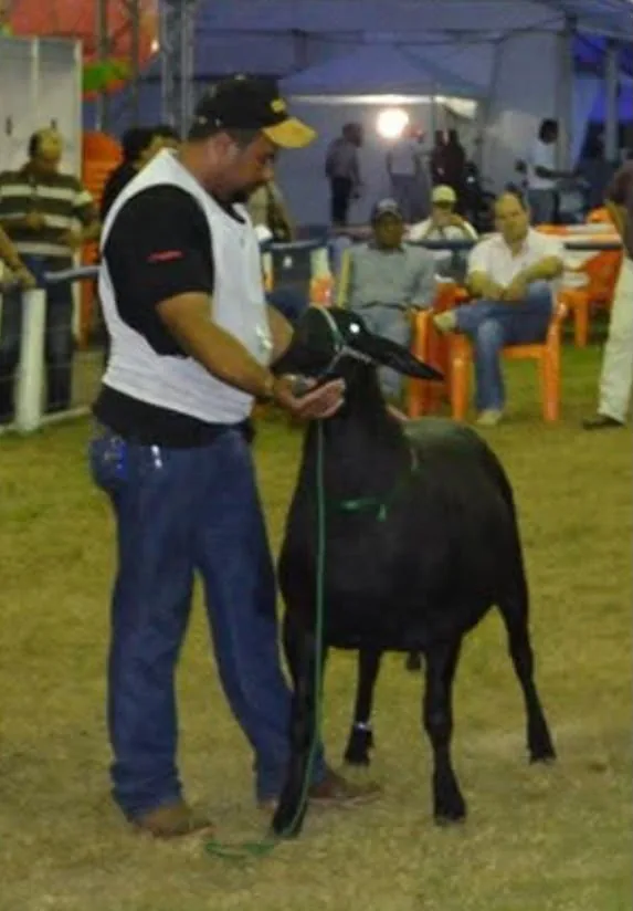 SI Colorado FIV 299 — Grande Campeão, 2013