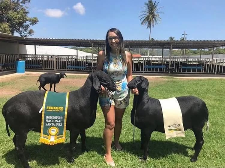 Porteira Azul Artêmia TE 544 — Grande Campeã, 2017
