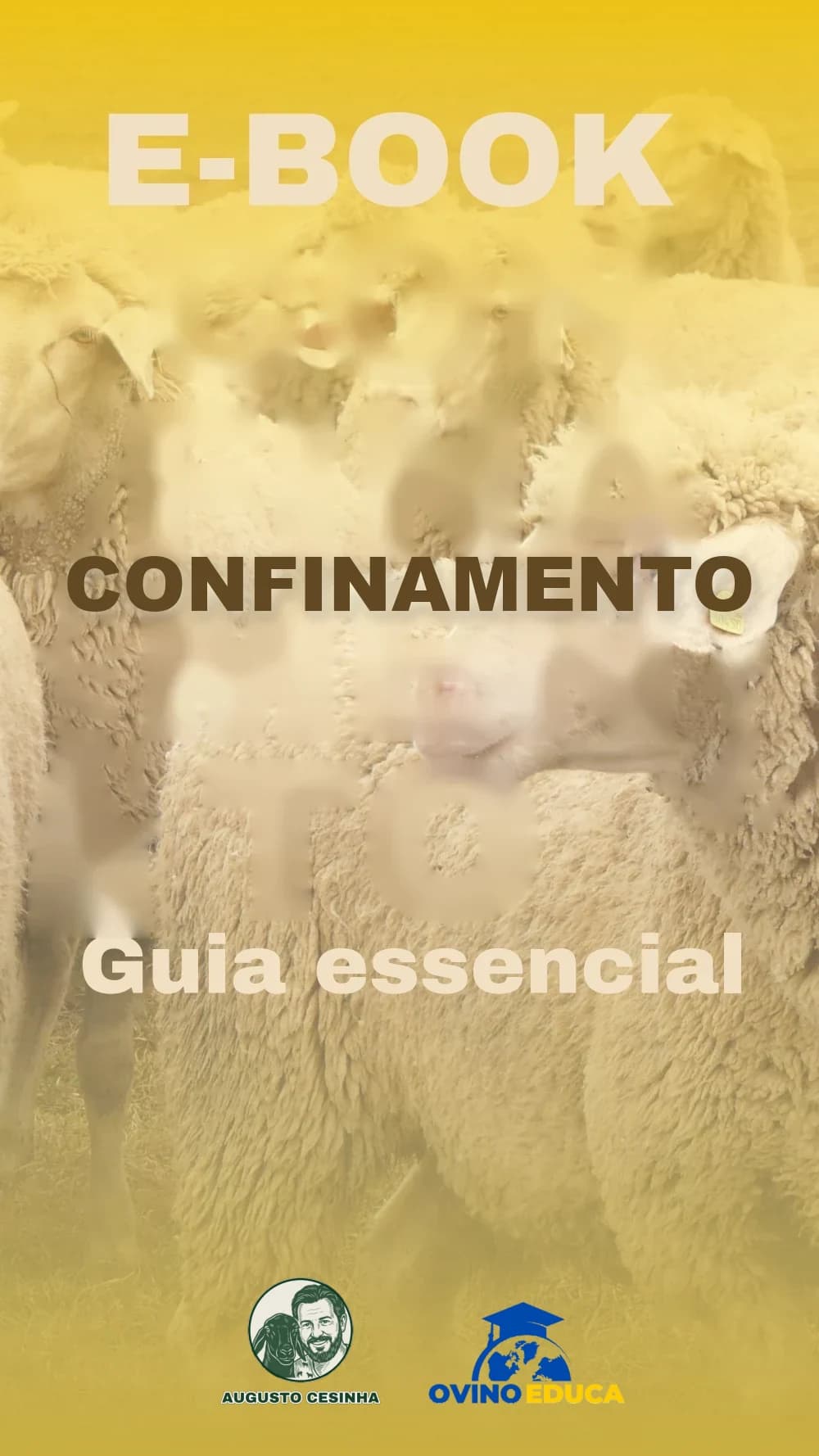 Capa do e-book Confinamento