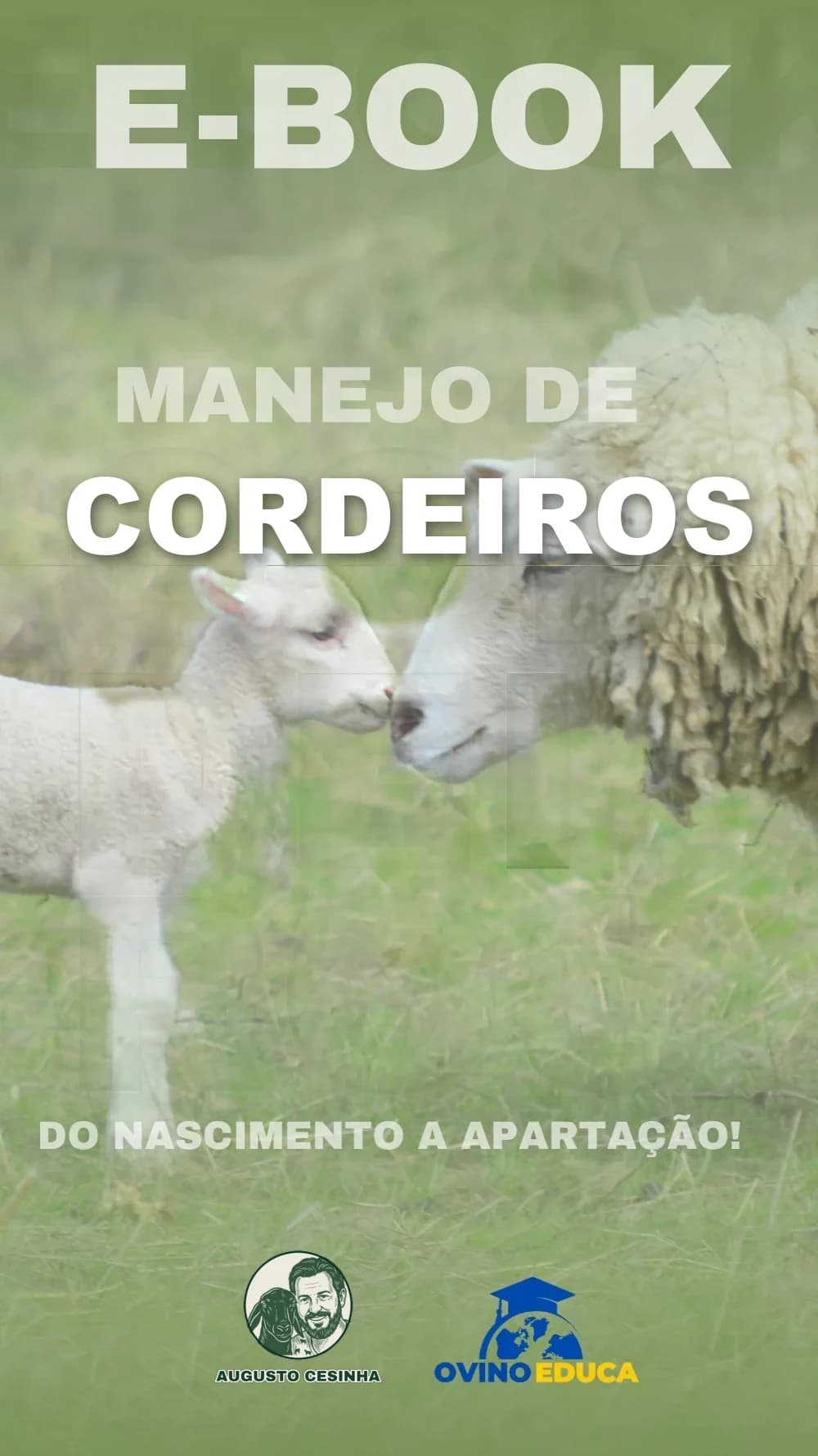 Capa do e-book Manejo de Cordeiros