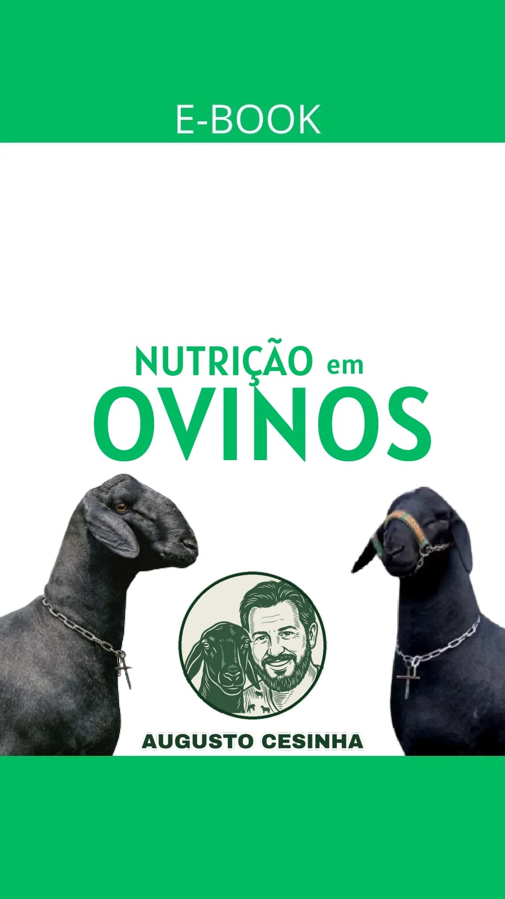 Capa do e-book Nutrição em Ovinos