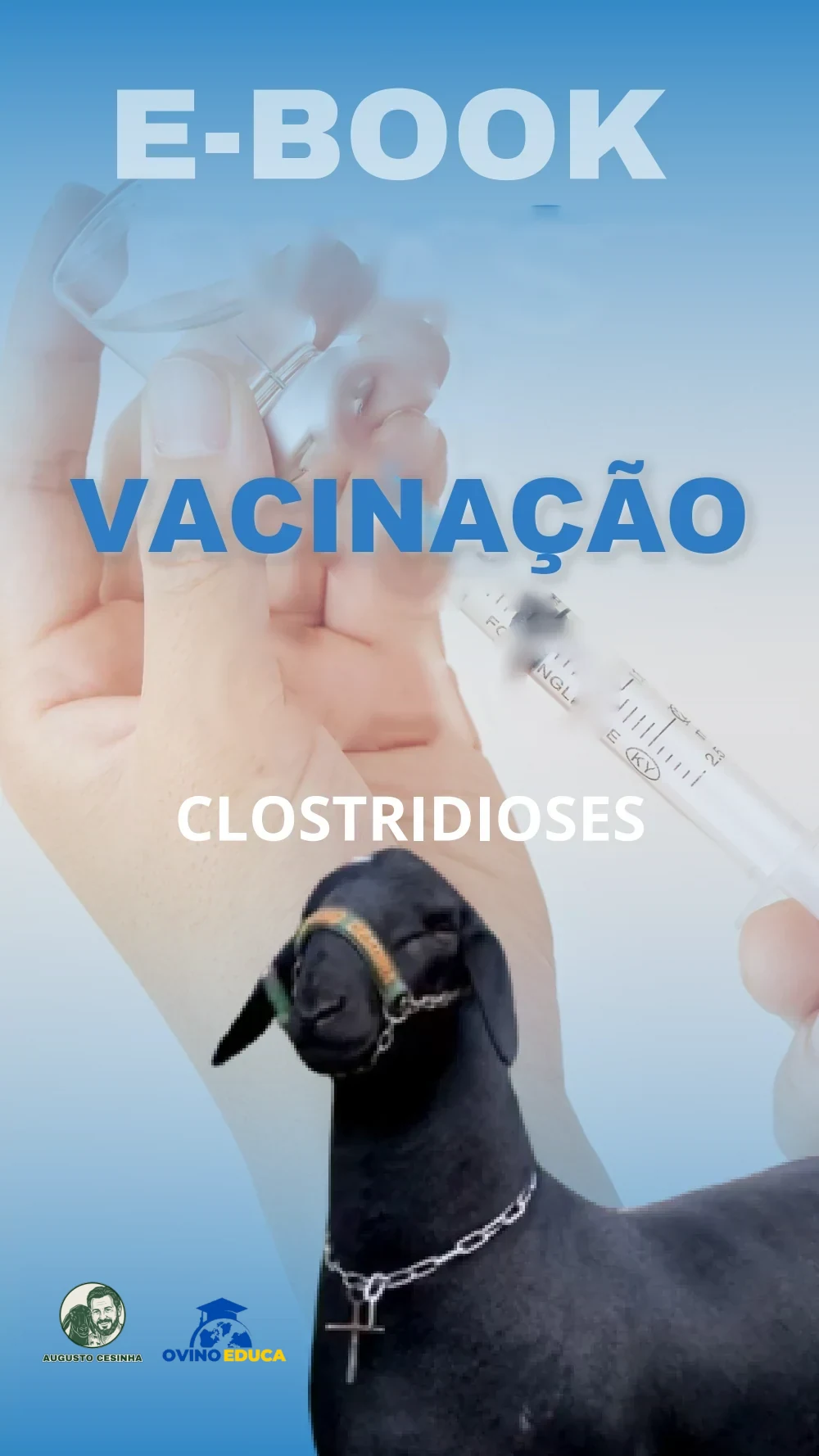 Capa do e-book Vacinação