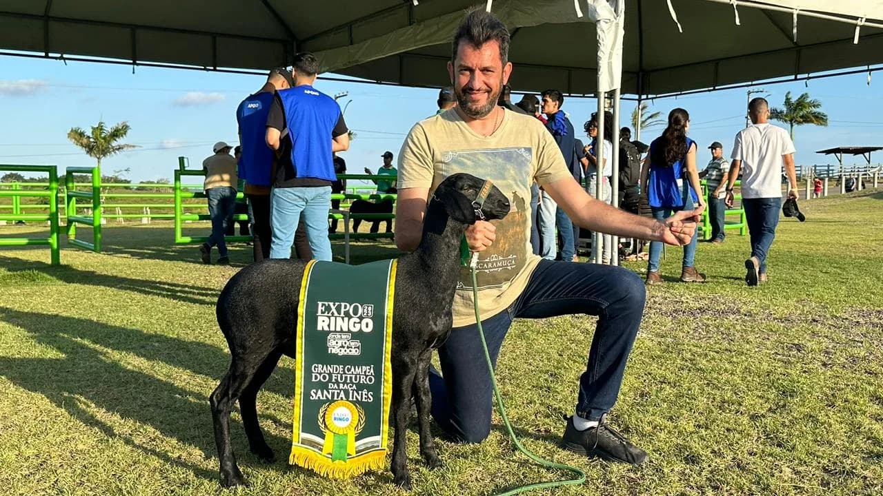 Augusto Cesinha ajoelhado na pista ao lado de uma ovelha Santa Inês jovem com faixa de premiação