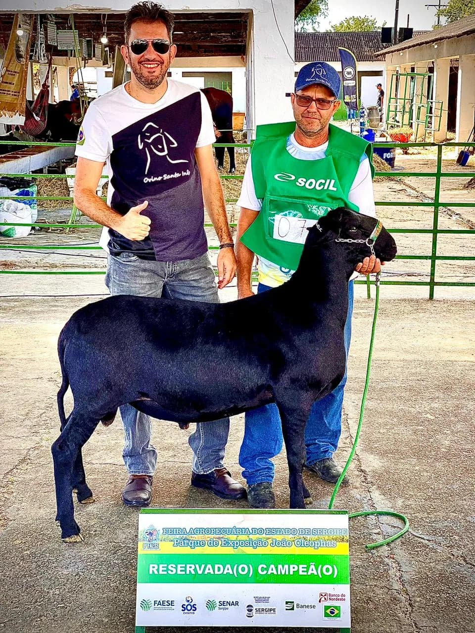 Augusto Cesinha com um animal do rebanho premiado em pista