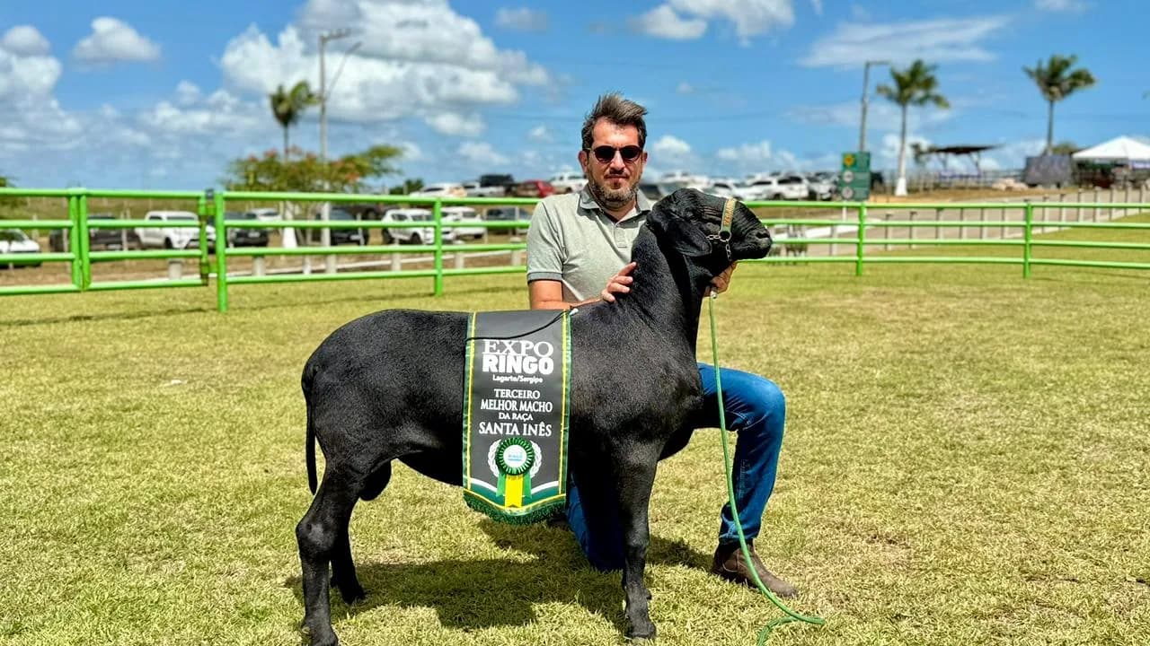 Rebanho do Cesinha — Sanidade