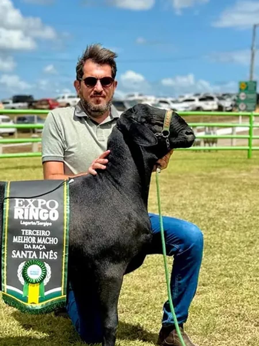 Augusto Cesinha na pista com o carneiro Santa Inês premiado na Expo Ringo