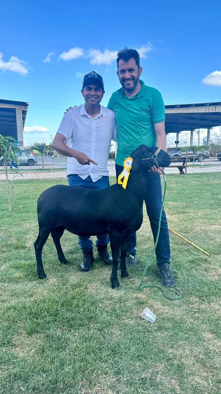 Rebanho do Cesinha — Manejo
