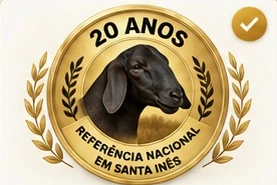 Medalha dourada de 20 anos, referência nacional em Santa Inês